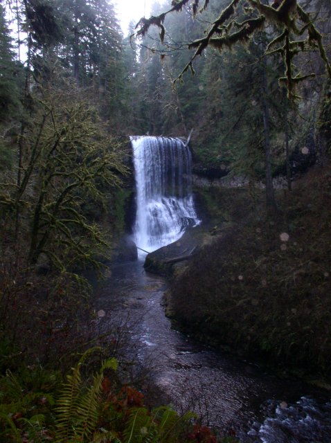 Silver Falls 12.10.05 064 